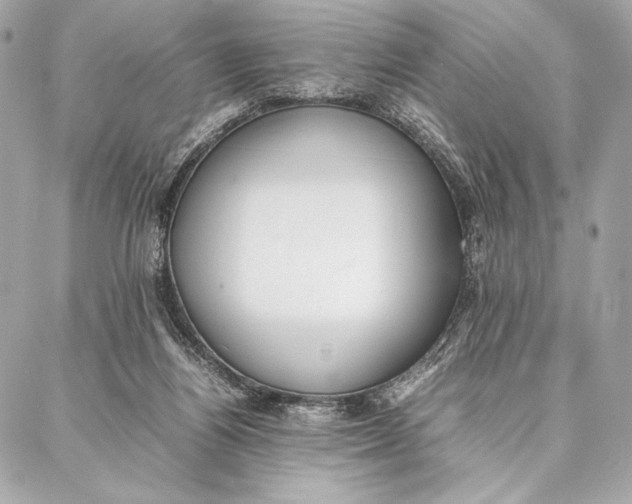 X0000087360164200705111654