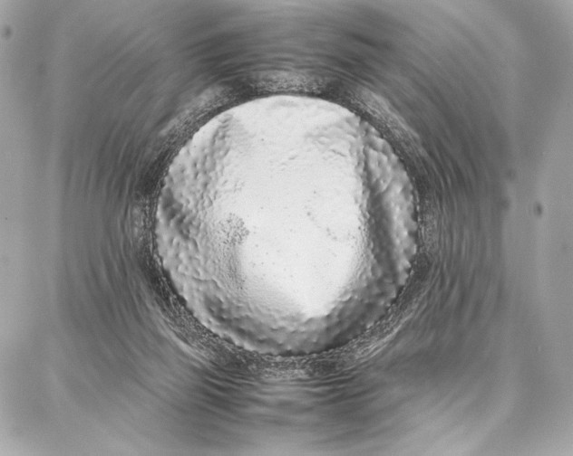 X0000087360165200705111654