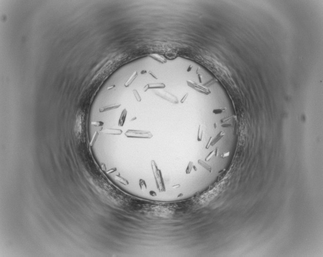 X0000087360166200705111654