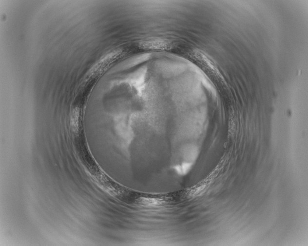 X0000087360167200705111654