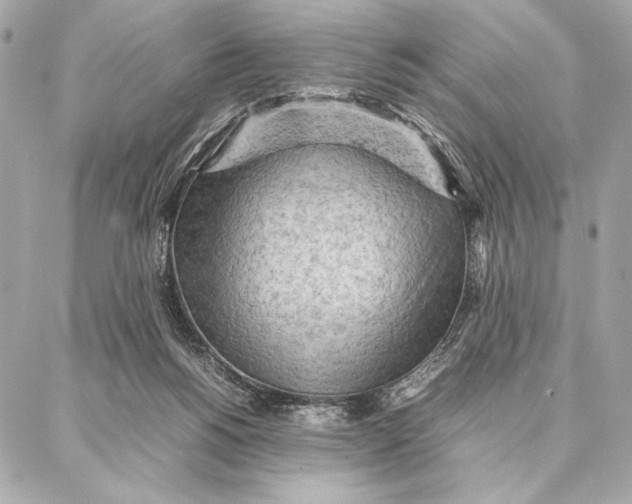 X0000087360168200705111654