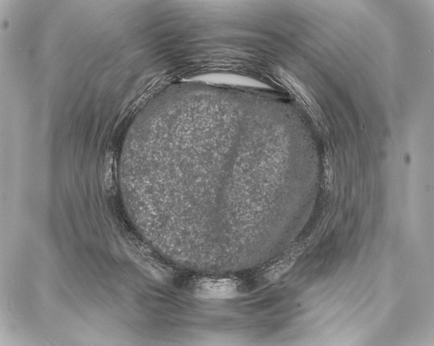 X0000087360169200705111654