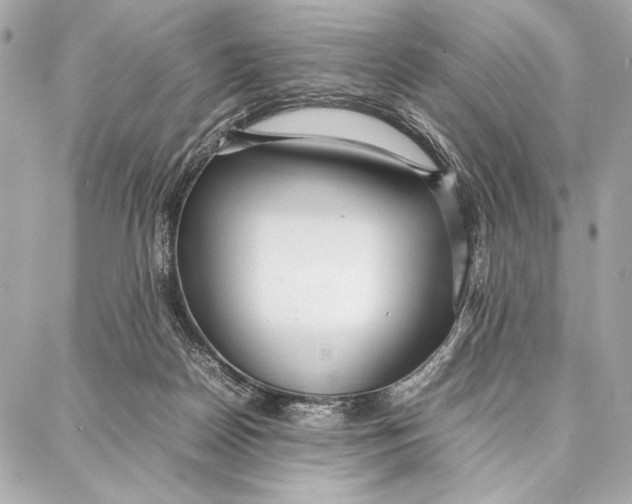 X0000087360170200705111654