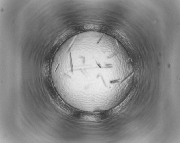 X0000087360171200705111654