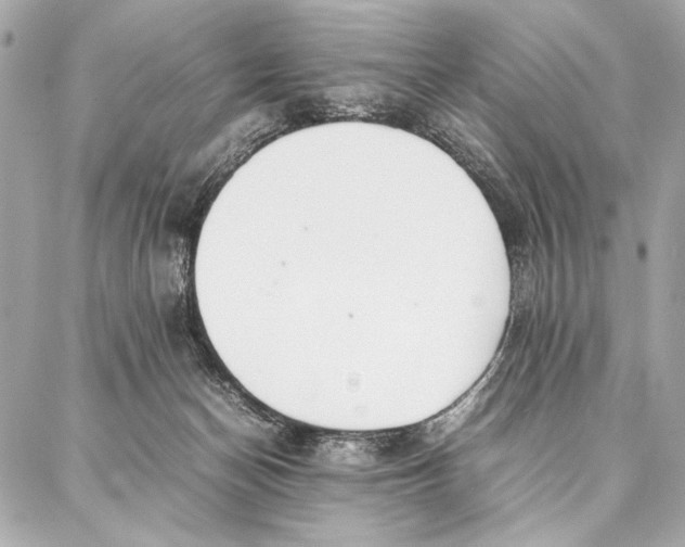 X0000087360174200705111654