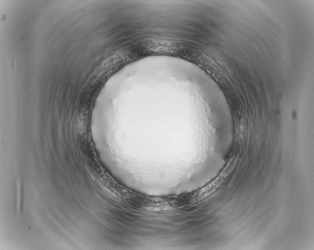 X0000087360175200705111654