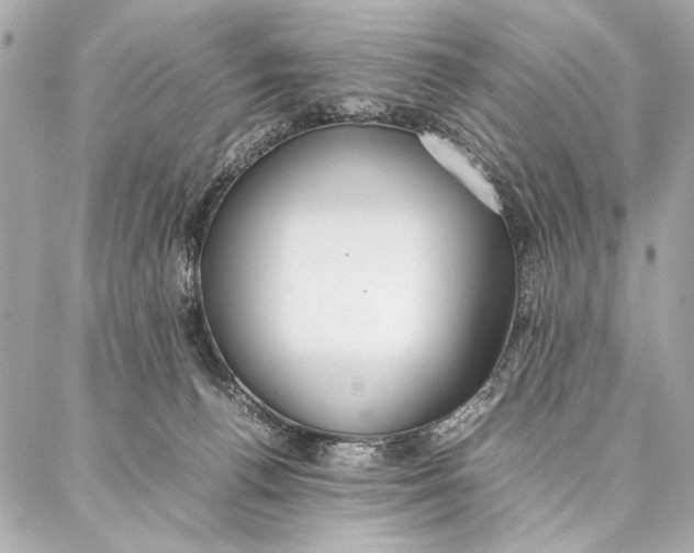 X0000087360176200705111654