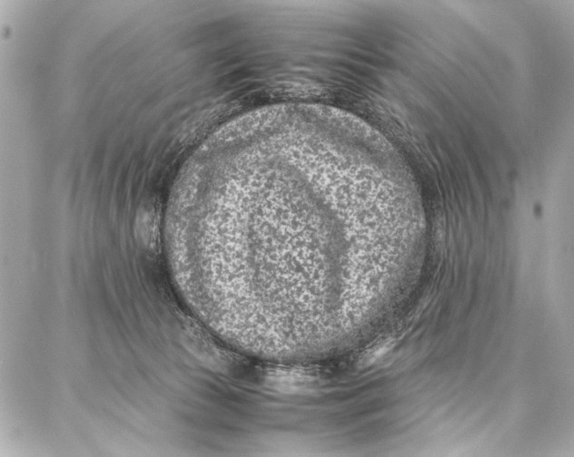 X0000087360177200705111654