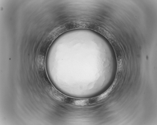 X0000087360178200705111654