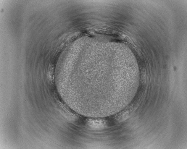 X0000087360181200705111654