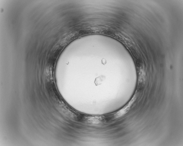 X0000087360182200705111654