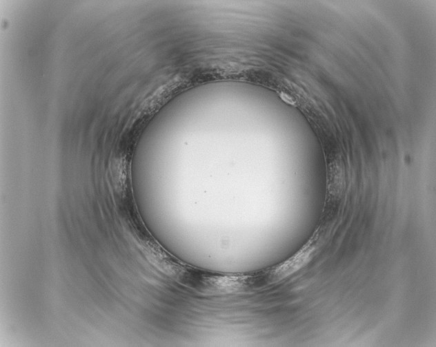 X0000087360184200705111654