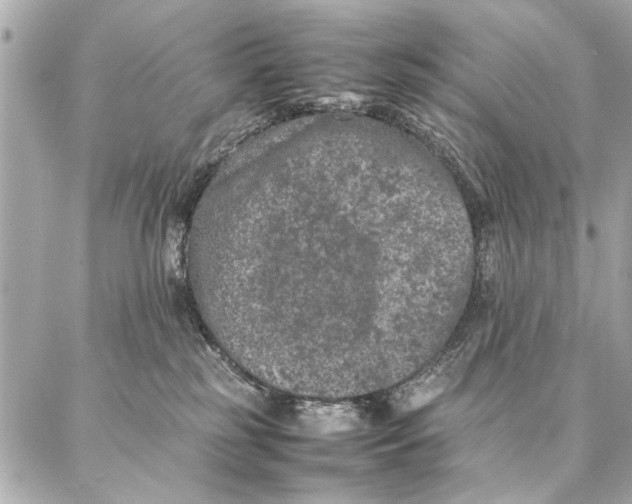 X0000087360185200705111654