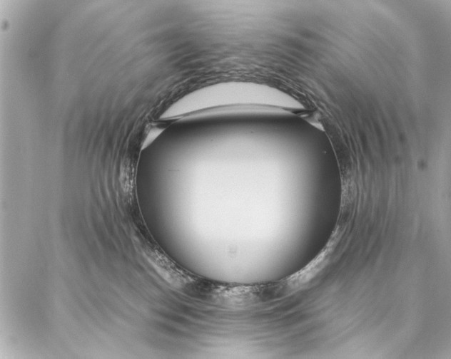 X0000087360186200705111654