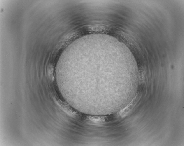 X0000087360187200705111654