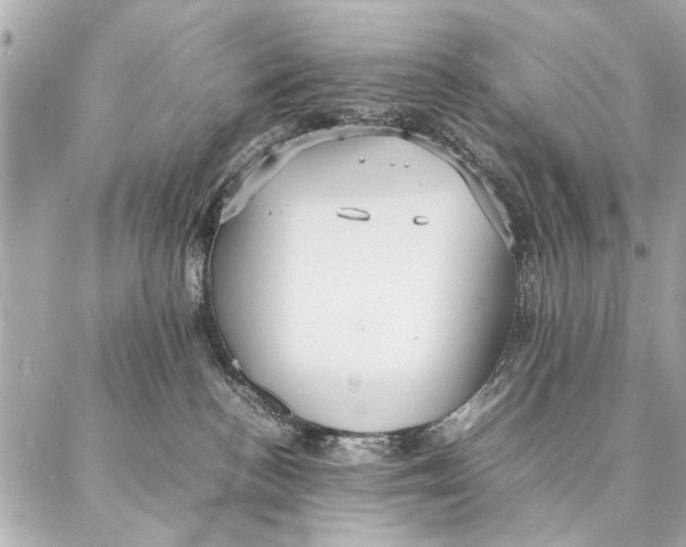 X0000087360188200705111654