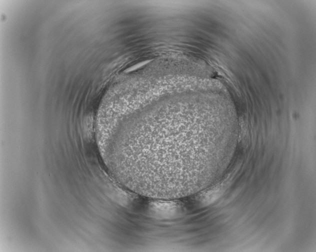 X0000087360189200705111654