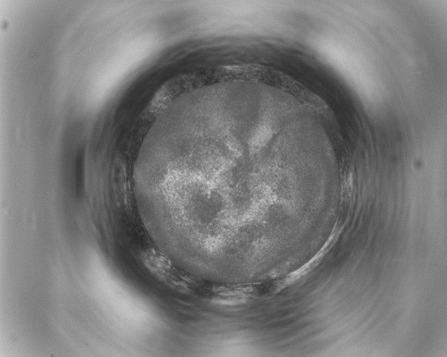 X0000087360191200705111654