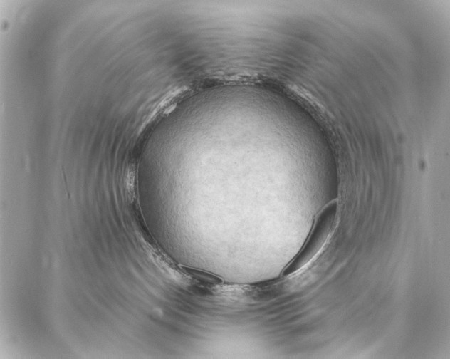 X0000087360192200705111654