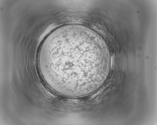 X0000087360195200705111653