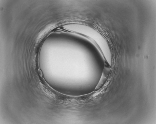 X0000087360197200705111653