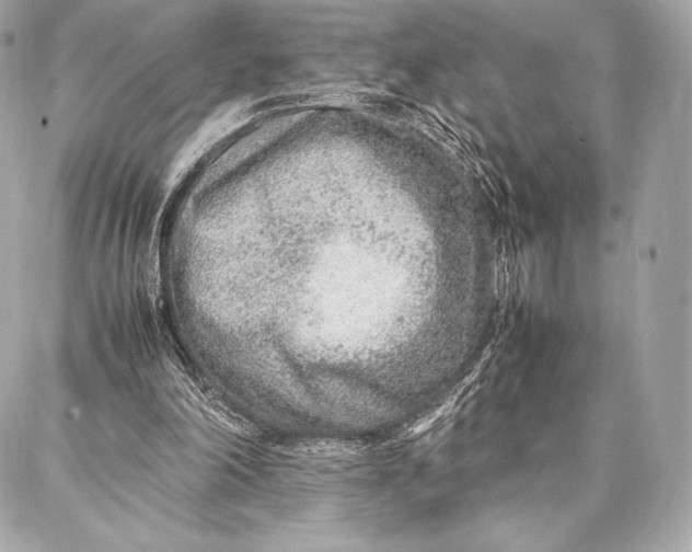 X0000087360198200705111653