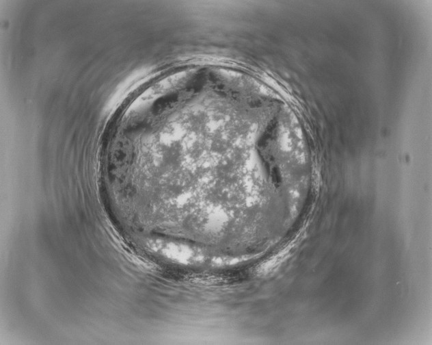 X0000087360199200705111653