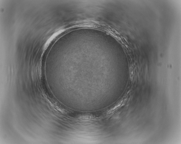 X0000087360200200705111653