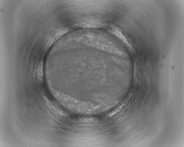 X0000087360202200705111653