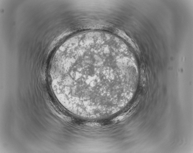 X0000087360203200705111653