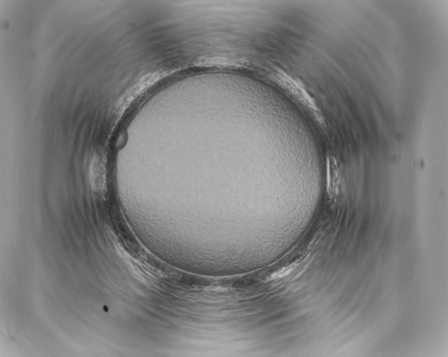 X0000087360204200705111653