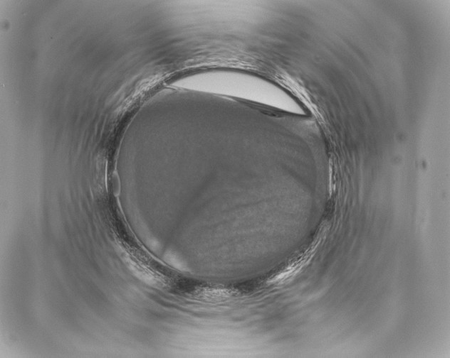 X0000087360205200705111653