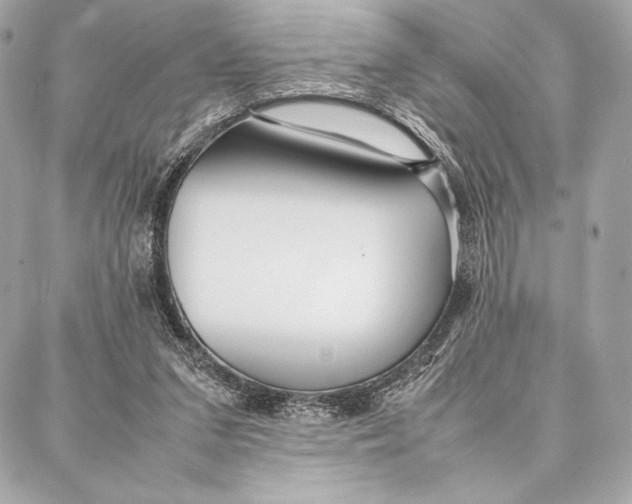 X0000087360207200705111653