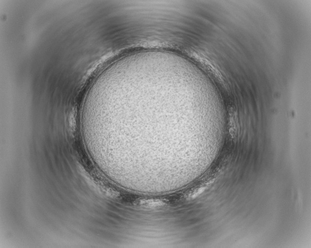 X0000087360208200705111653