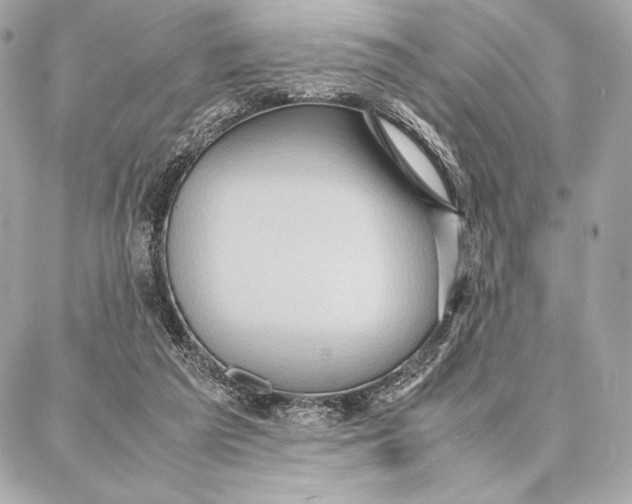 X0000087360209200705111653