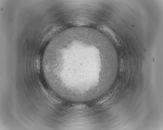 X0000087360210200705111653