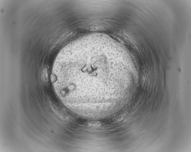 X0000087360214200705111653