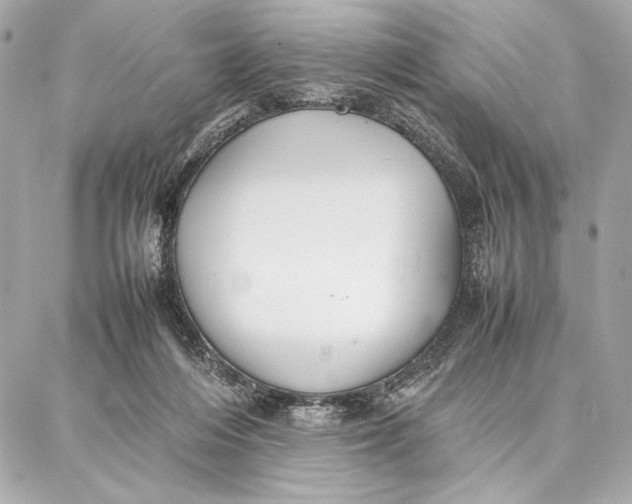 X0000087360216200705111653