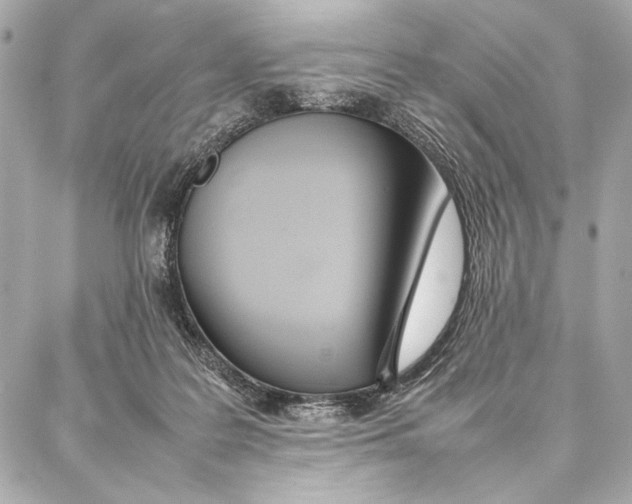 X0000087360219200705111653