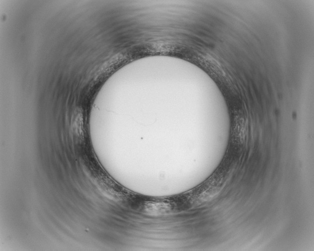 X0000087360220200705111653