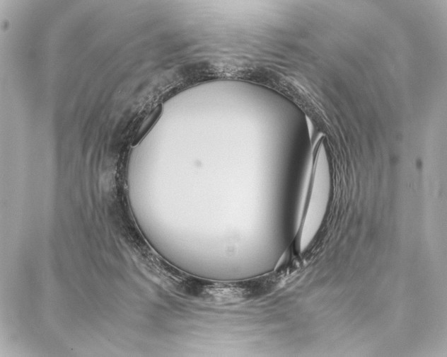 X0000087360221200705111653