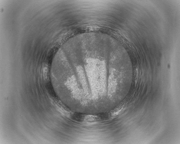 X0000087360222200705111653