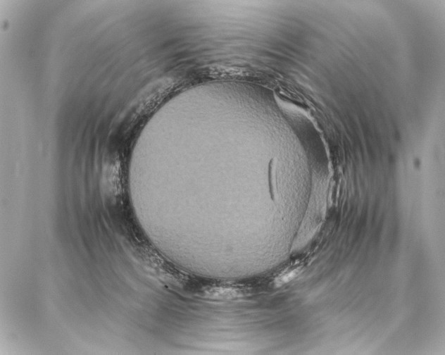 X0000087360224200705111653