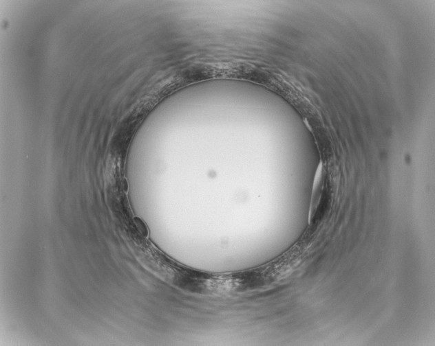 X0000087360225200705111653