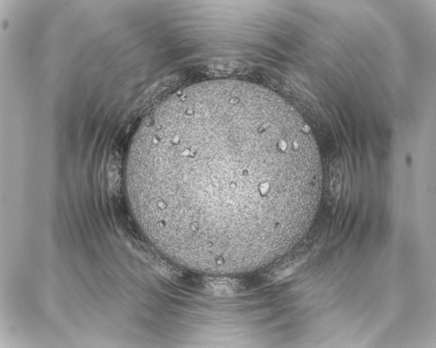 X0000087360226200705111653