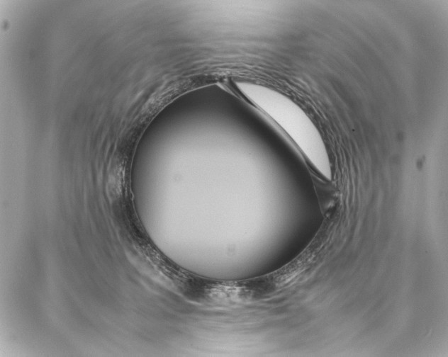 X0000087360227200705111653