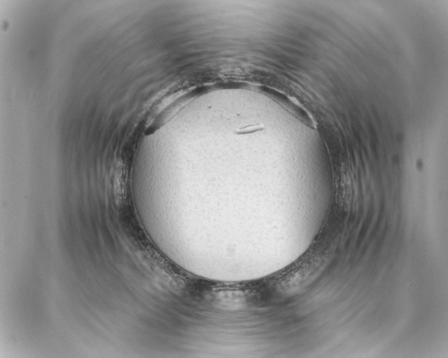 X0000087360228200705111653