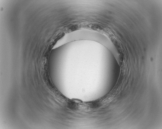 X0000087360229200705111653