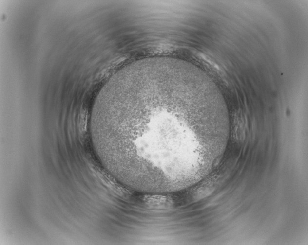 X0000087360230200705111653