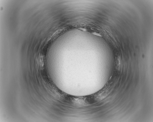 X0000087360232200705111653